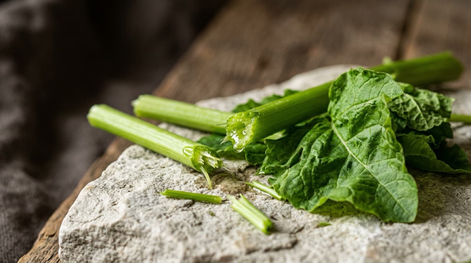 Tiges vertes fraîchement coupées et feuilles froissées sur une pierre claire.