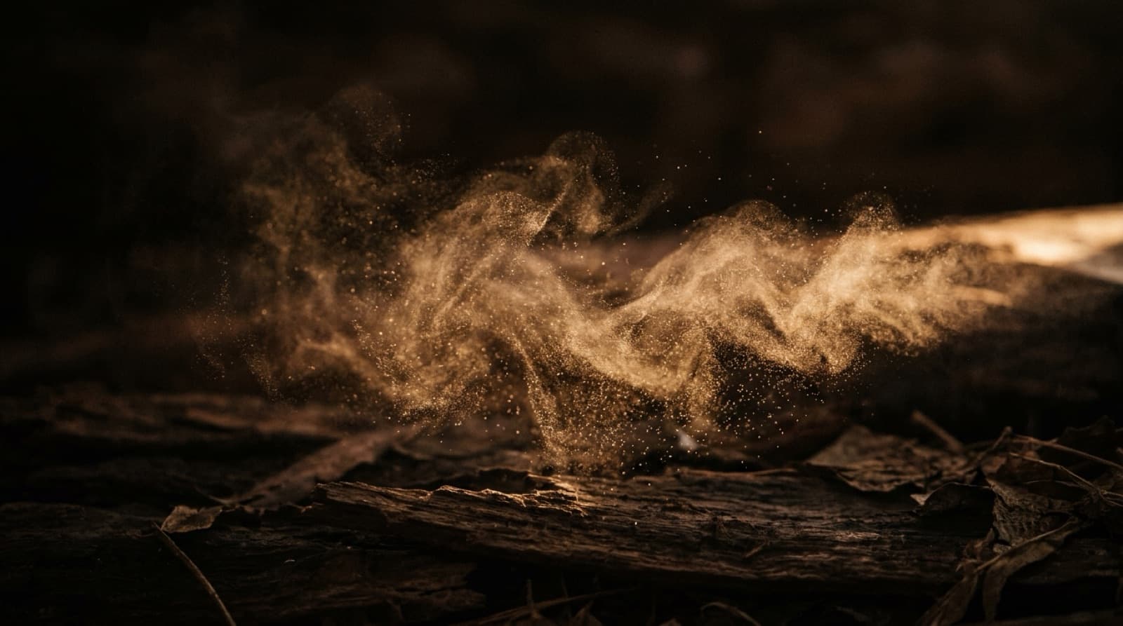 Fin voile de vapeur suspendu dans un rai de lumière chaude.